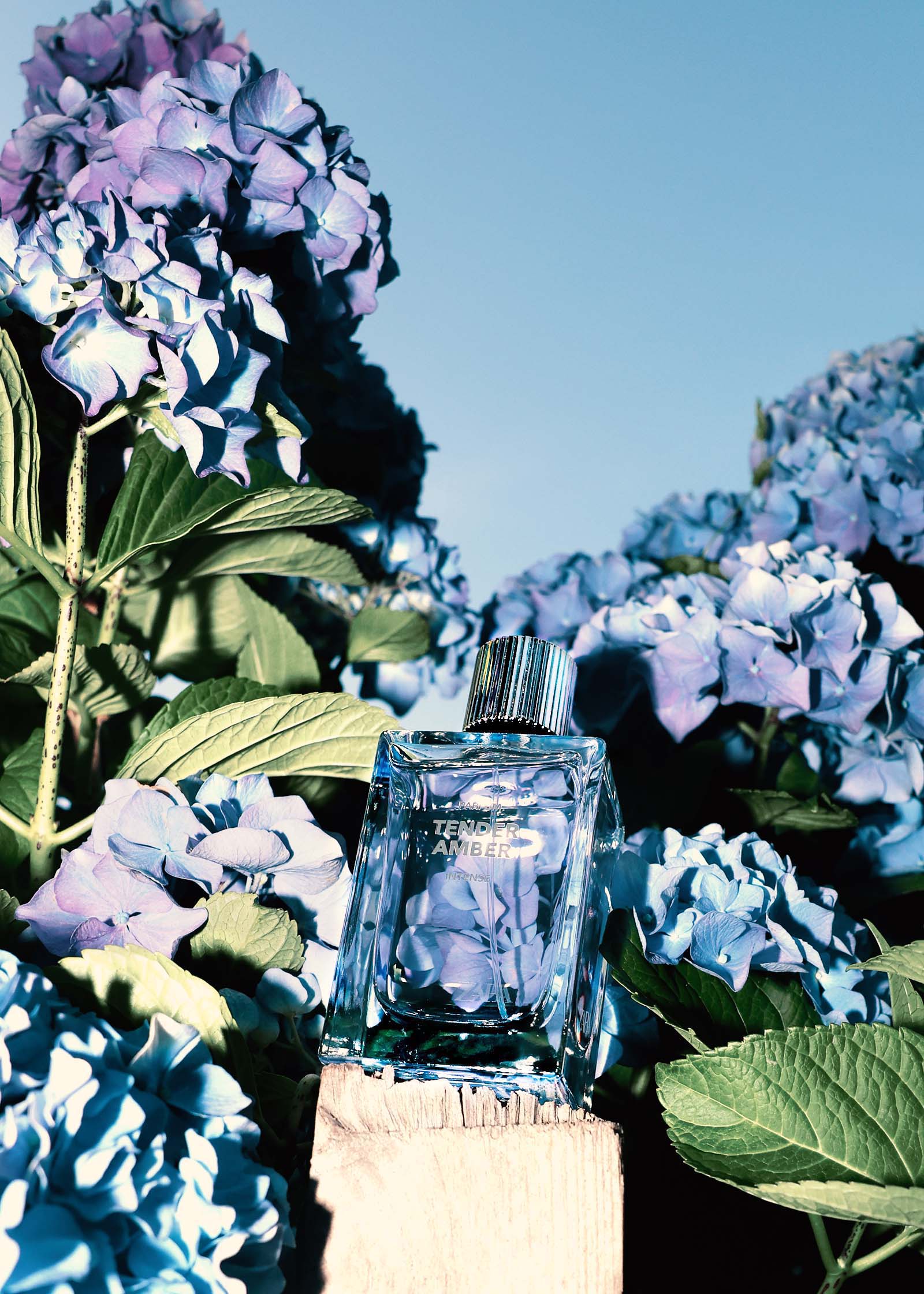 TENDER AMBER PARFUME