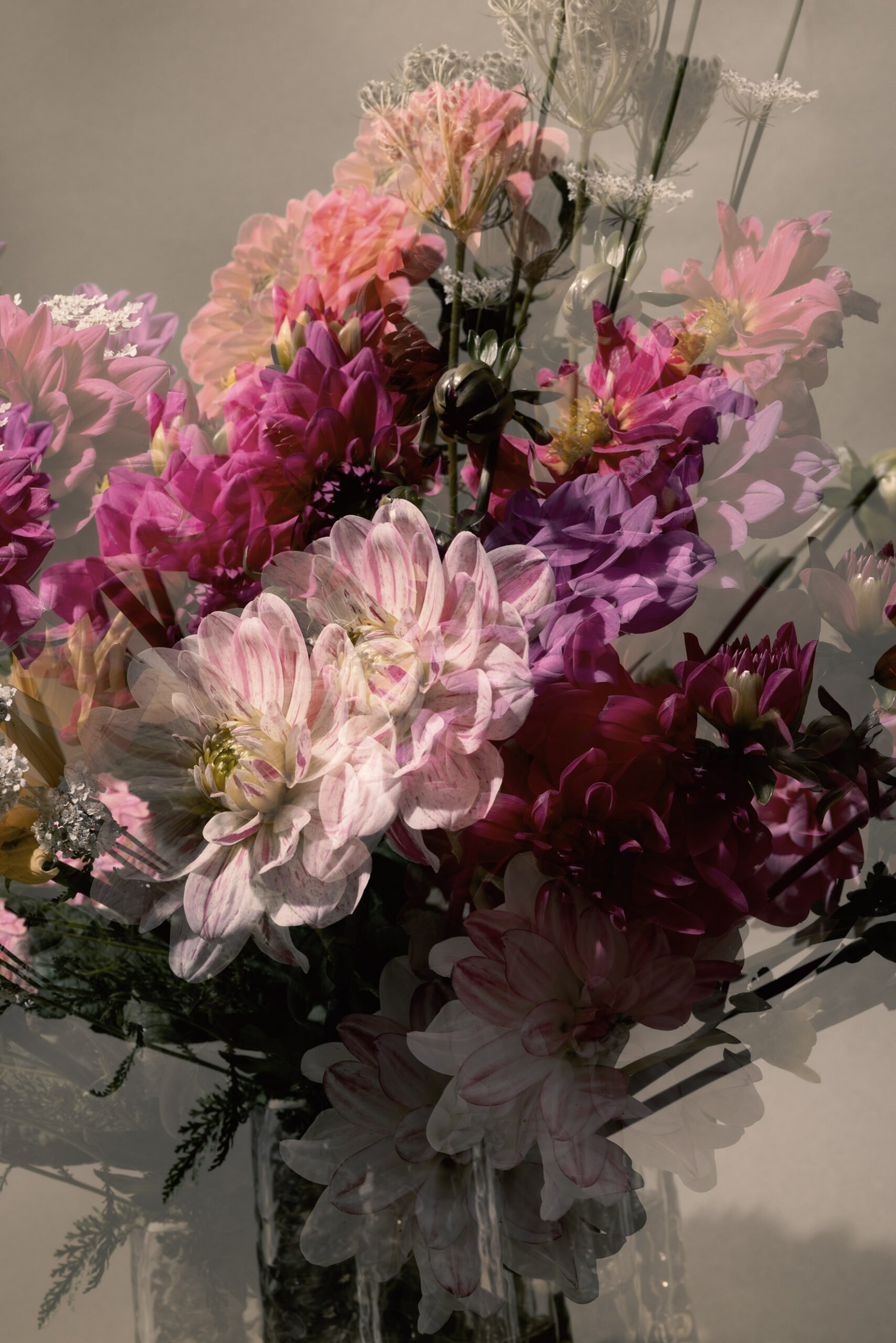 Flowers Photography, Stilllifestyling, Styling, Setting, Photography, Studiophotogaphy, Visualconcept, SocialMedia, Art Direction, Styling, Photography, www.petrakatharinakassel.com